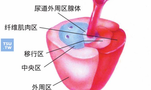 苍耳子鼻炎胶囊 的禁忌网 - 为你提供苍耳子鼻炎胶囊 的禁忌是什么、苍耳子鼻炎胶囊能长期服用吗